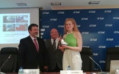 Labor formativa en materia de estiba